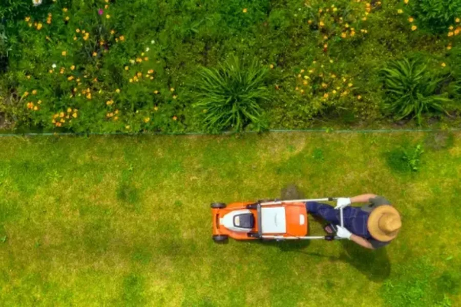 Affordable Lawn Maintenance Madison, WI Affordable Lawn Maintenance Madison, WI