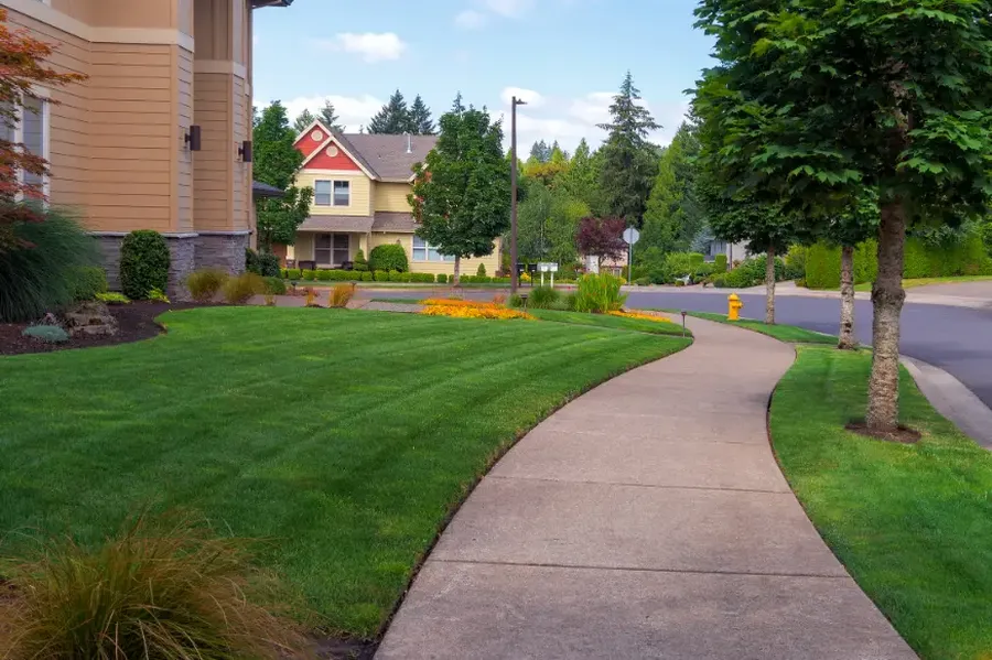 Common Lawn Issues And How Proper Maintenance Resolves Them in Madison, WI